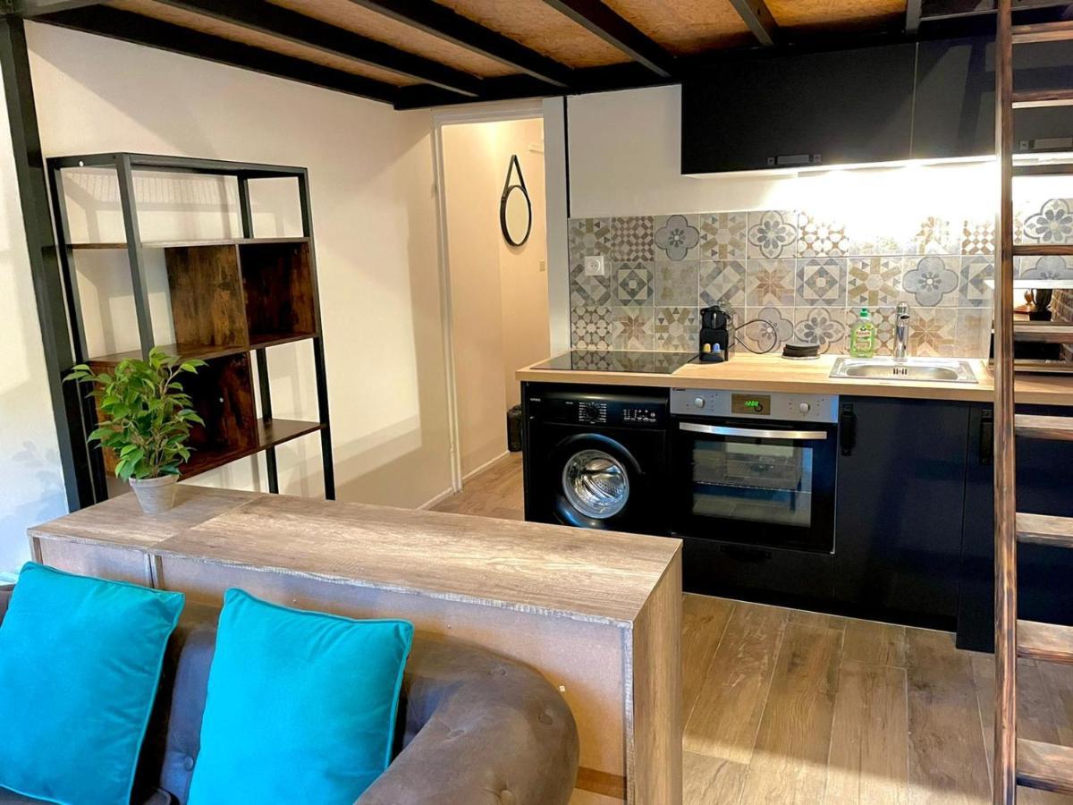 Cocooning & Modern Duplex City Center Carabacel Nice Buitenkant foto
